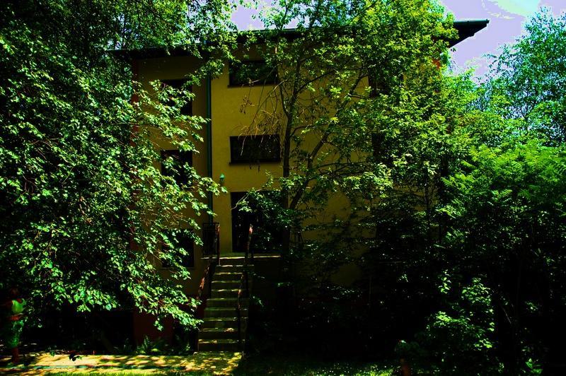 Raj Muszyna Apartamenty Z Widokiem Na Panorame Gorska 外观 照片