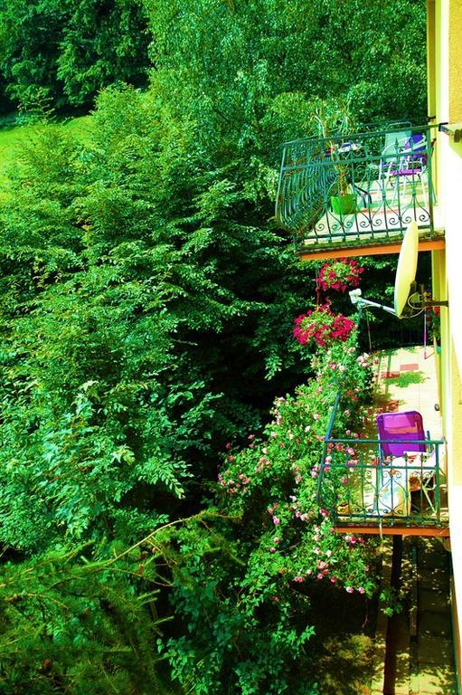 Raj Muszyna Apartamenty Z Widokiem Na Panorame Gorska 外观 照片
