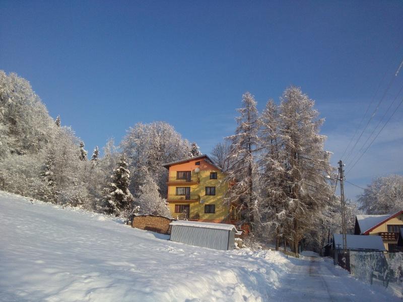 Raj Muszyna Apartamenty Z Widokiem Na Panorame Gorska 外观 照片