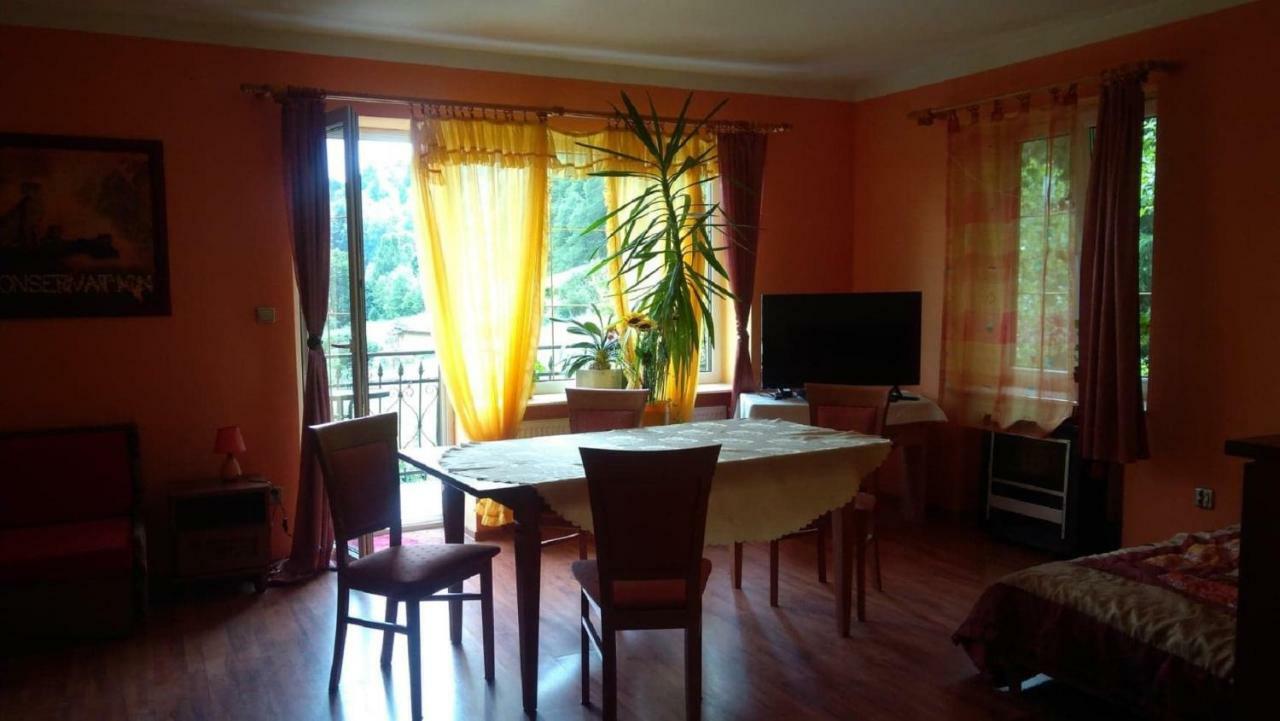 Raj Muszyna Apartamenty Z Widokiem Na Panorame Gorska 外观 照片